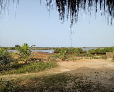 A serene view of Tanema Creek Lodge in Brufut, featuring charming thatched-roof cabins nestled along