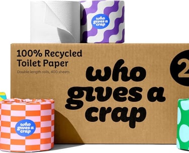 a box of toilet paper rolls with a cardboard box