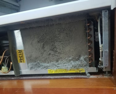 Photo of the clogged refrigerator coils