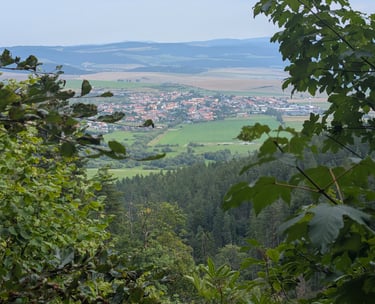 View from a hillside over a valley with a town, fields, and distant mountains, framed by trees.