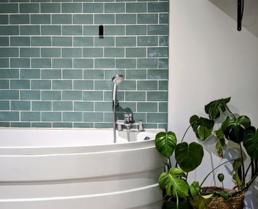 Une baignoire et une plante verte