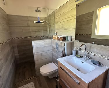 Salle de bains avec évier, toilettes et douche à l'italienne, le tout refait à neuf.