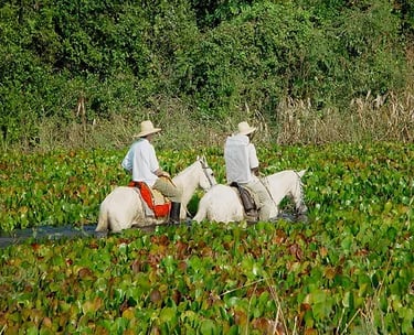 Horseback Ride in Pouso Alegre Lodge