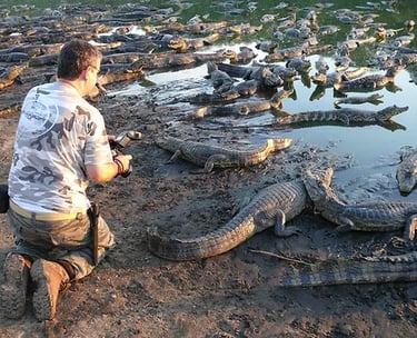 Wildlife at Brazilian Northern Pantanal