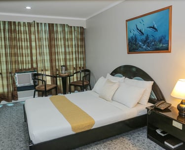 a bed room with a bed and a desk