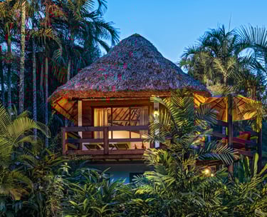 Belizean Thatched roof made by Mayans.