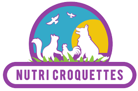 nettoyage de vitre plabennec