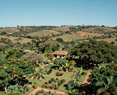 A scenic view of the Agreste Potiguar landscape in Brazil, showing a lush green organic garden oasis contrasting with the natural semi-arid surroundings, bright blue sky.