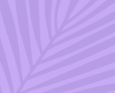 purple background with purple leaf