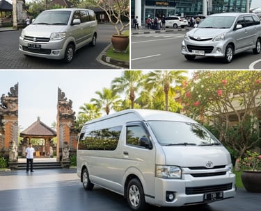 Bali private driver service car