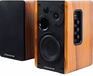 Monitor De Áudio Bluetooth 100W RMS Com Controle Remoto 