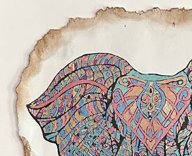 expressive animal portraits in vibrant colors