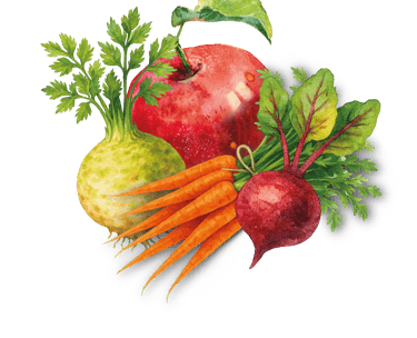 Ein roter Apfel, eine Sellerieknolle, eine rote Rübe & Karotten