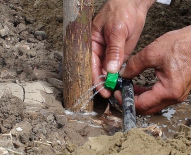 a person is holding a green sprinkler in their hands