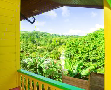 vue sur la verdure et terrasse. 