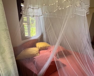 chambre double avec une moustiquaire