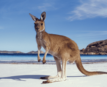 destinations-de-voyage-australie
