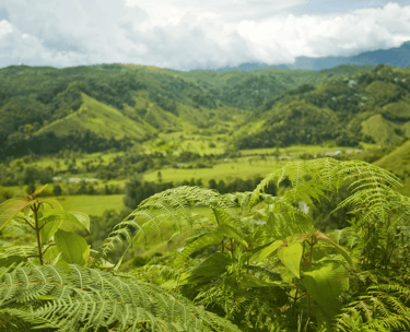 destinations-de-voyage-colombie