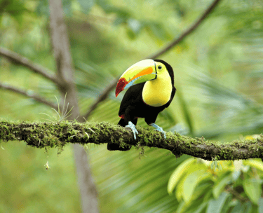 destinations-de-voyage-costa-rica