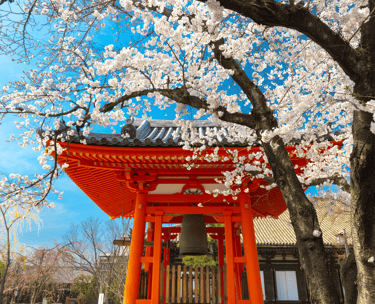 destinations-de-voyage-japon