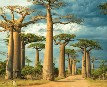 destinations-de-voyage-madagascar