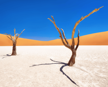 destinations-de-voyage-namibie