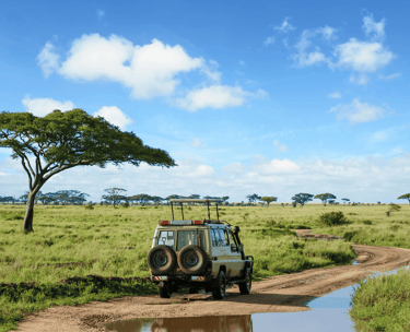 destinations-de-voyage-tanzanie