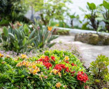 Quinta Sao Roque garden