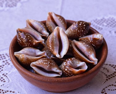 Still life photography of a bowl of traditional African-Brazilian cowrie shells (búzios) used for divination, resting on a white lace tablecloth with soft purple lighting.