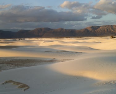 Zahid sand 