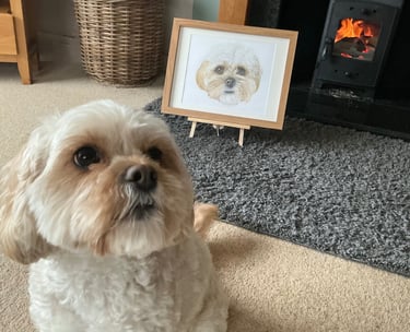 Dog pose