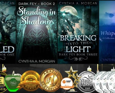 fantasy storyteller reviled shadows light