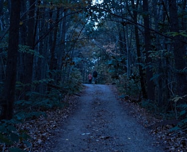 A tranquil image of a North American forest path at dawn, symbolizing the journey of mental health. The atmosphere is quiet, forward-thinking, and trustworthy. Colors: Steel Blue and Dark Navy.