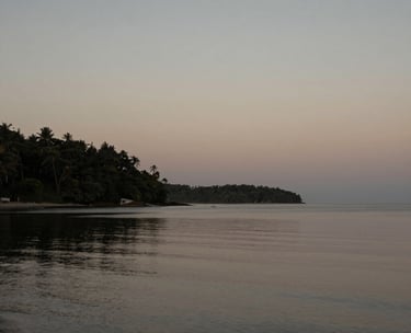 A serene coastal landscape in South America at dusk, muted colors, soft greys and taupe, reflecting an intimate and poetic atmosphere, editorial photography style.