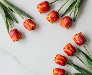 A top-down view of vibrant spring tulips on a white smoke marble surface, clean lines and natural soft lighting, modern North American interior aesthetic.