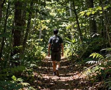 A person walking on a sun-dappled trail through a North American forest, with green leaves and soft shadows, representing the journey of recovery.