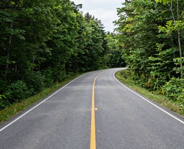 A wide-angle photography shot of a winding asphalt road through a lush North American forest during daylight, representing a safe and clear driving environment, crisp focus, natural lighting.
