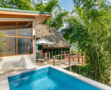Swimming pool in this Belize tree top villa