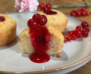financier groseille
