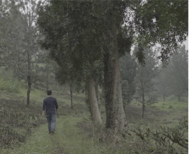 Green Hell is about Hazara migrants in limbo in Indonesia spent more than a decade to be resettled.