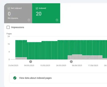 Google Search Console report showing 20 indexed pages and 0 not indexed