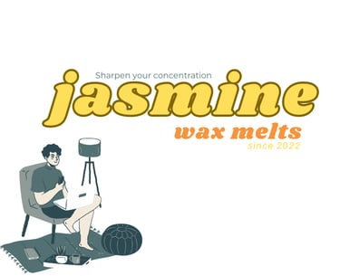Cayla Henri Jasmine Wax Melts: A man sitting in a chair with a laptop.