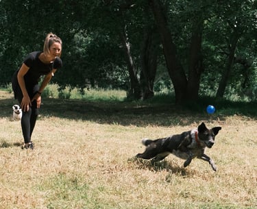 Dog training: Learning to play 'fetch' while keeping it fun and safe