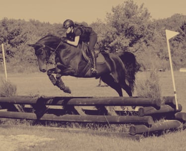 Massage cheval sportif 