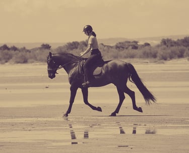 Massage cheval mobilité confort