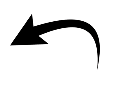 seta