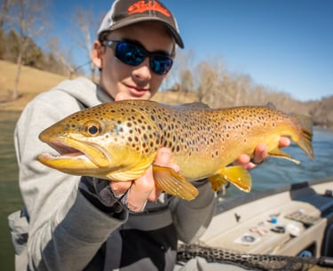 March fly fishing heating up on the South Holston and Watauga River