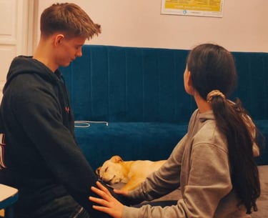 Kobieta wykonująca test mięśniowy mężczyźnie