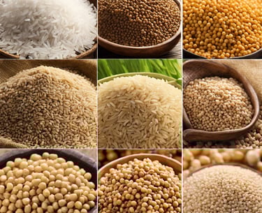 Bright living room with modern inventory