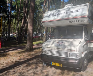 Our Mariposa Mundial camper parked under pine trees on a chaotic Polish campsite